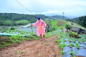 BIB: 1310
                            <button type="button" onclick="openModal(13378522)" class="btn btn-primary btn-sm float-right btn-popup" data-toggle="modal" data-target=".modal-high-quality">
                        <i class="fas fa-shopping-cart"></i> Add to Cart
                    </button>
                                            <button type="button" onclick="isThisMe(13378522, true)" class="btn btn-success btn-sm float-right btn-popup btn-isme hidden" data-toggle="tooltip" data-placement="bottom" title="นี่คือรูปของคุณใช่ไหม คลิกที่นี่เพื่อเอาเข้าอัลบั้ม">
                        <i class="fas fa-plus"></i> Add to album
                    </button>
                    <button type="button" onclick="isThisMe(13378522, false)" class="btn btn-warning btn-sm float-right btn-popup btn-isnotme hidden">
                        <i class="fas fa-ban"></i> Remove from album
                    </button>